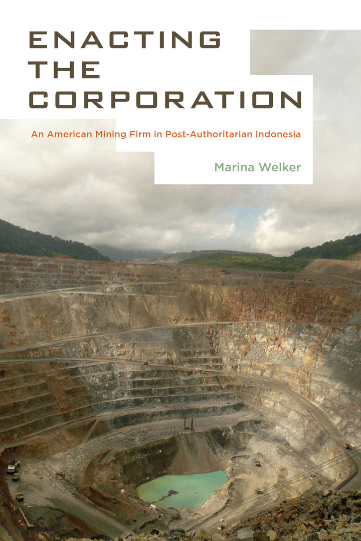 Cover image for Enacting the Corporation ISBN 9780520282315